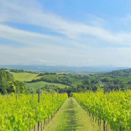 Charming Escape In * Tavullia